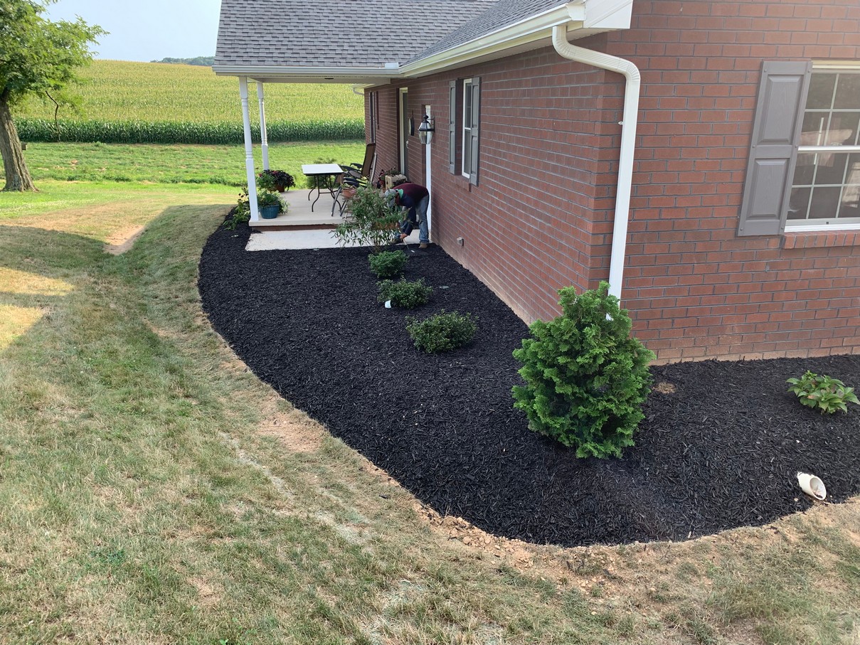 plants trees shrubs flowers annuals perennials landscaping hardscaping poolscapes filrepits landscape hardscape mulch design pleasant hill hanover pa garden center